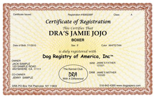 Basic Dog Registration Dog Papers