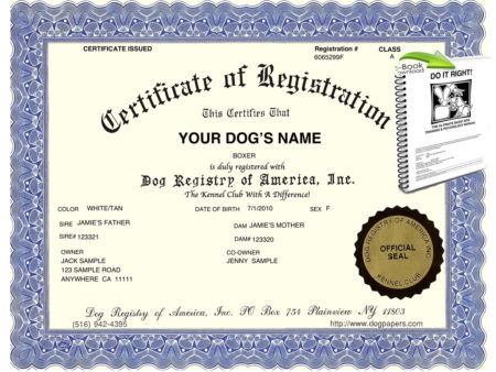 lost dog registration papers