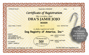 Basic Certificate with Lost Pet Registry Tag